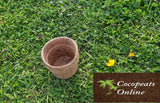 Coir Pot 4 inches - 5 pcs