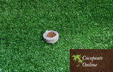 Cocopeats Online Coco peat pellets Coir Pellets 32 mm