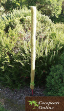 Cocopeats Online Coco Poles Coco Poles for Creeper Plants 4 feet