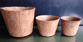 Coco Pot 10” | Coco Planting Pots/Baskets | Coir Seed Germination Cup | CocopeatsOnline 