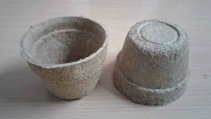 Coir Pot 4 inches - 5 pcs