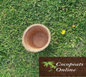 Cocopeats Online Coco Pots Coco Pot 6 inches