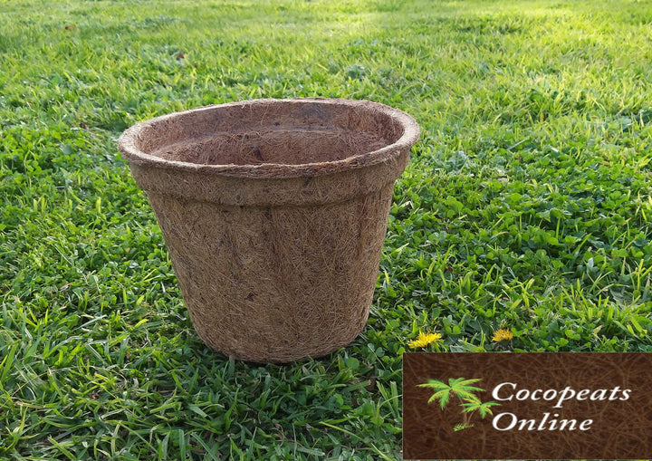 Cocopeats Online Coco Pots Coco Pot 8 inches