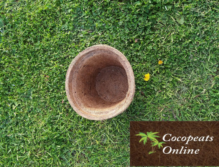 Cocopeats Online Coco Pots Coco Pot 8 inches