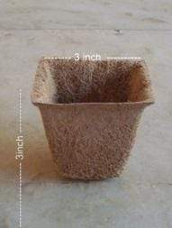 Cocopeats Online Coir Seedling Cup Coir Spanish Cup (available in 2 sizes)